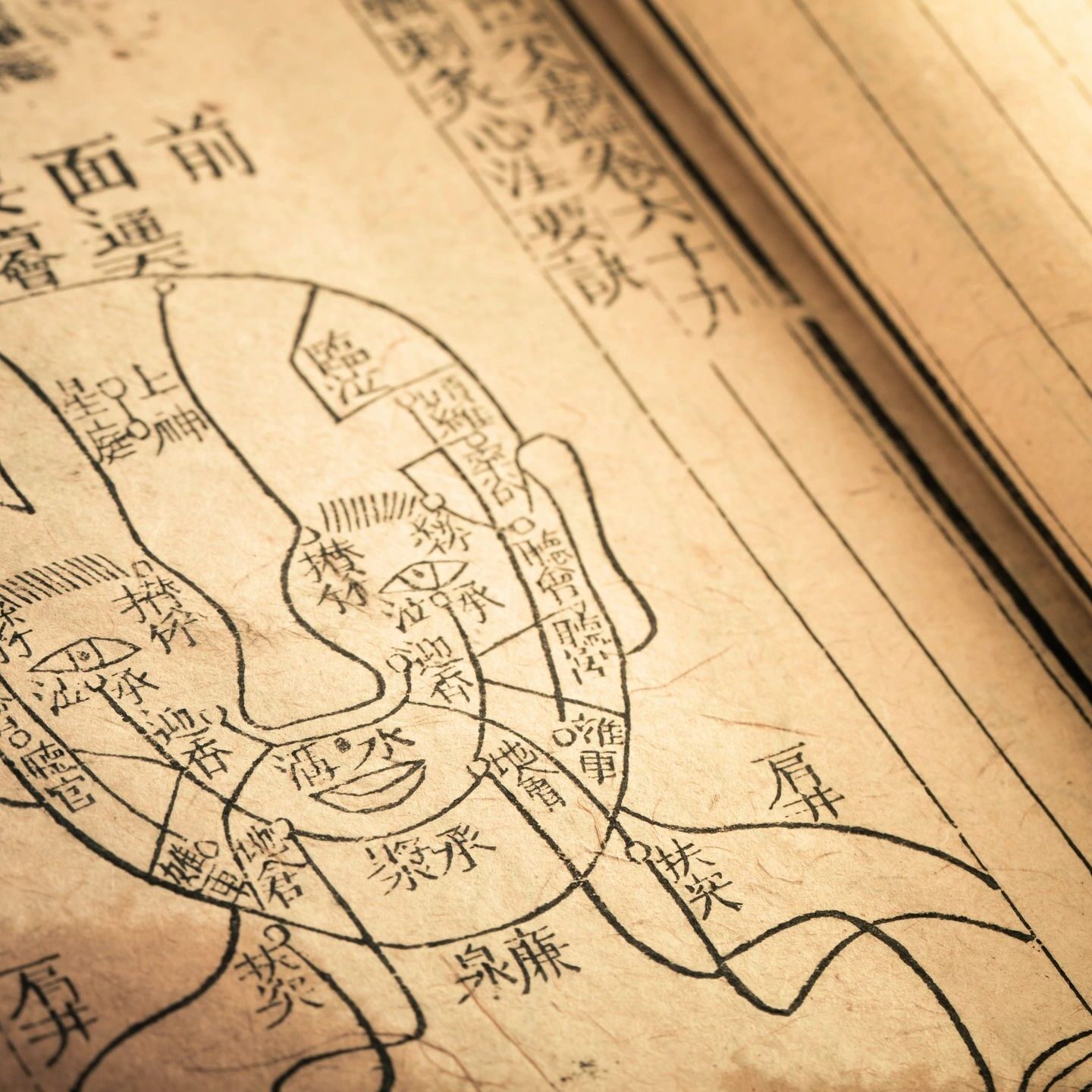 Traditional Chinese medicine meridian channels map